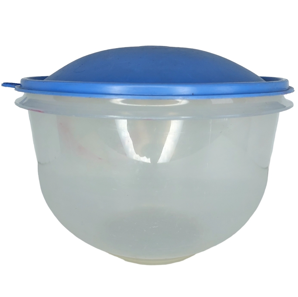 Tupperware Lettuce Keeper 1424-3 No Spike Food Storage Clear Blue Top